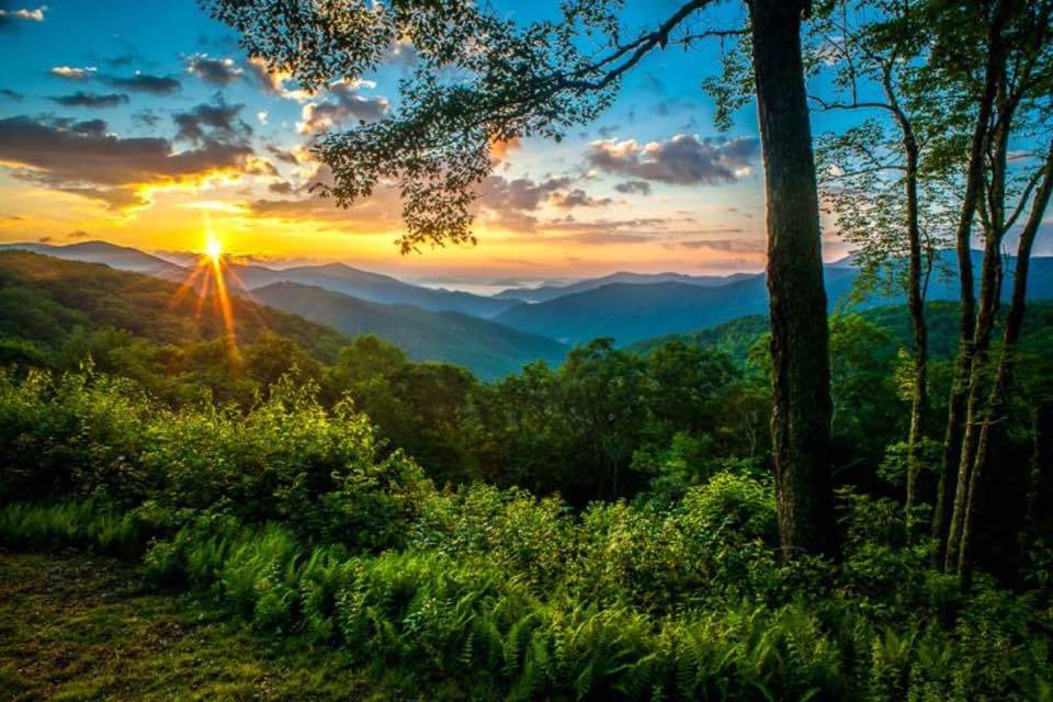 Maggie Valley Scenery